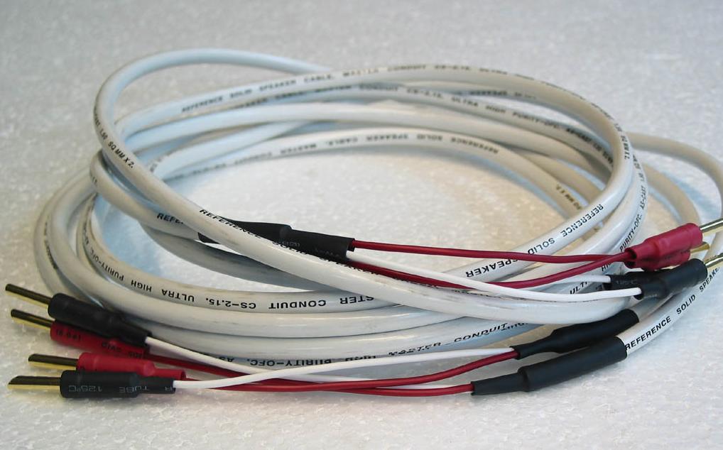 �������x��푾����Ⱦ�