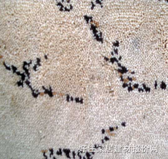 �k���ÝM䁵�̺ X005 ��4M