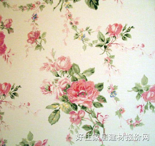 ���� B438 ӆ�� PVC �� ���Sɫ