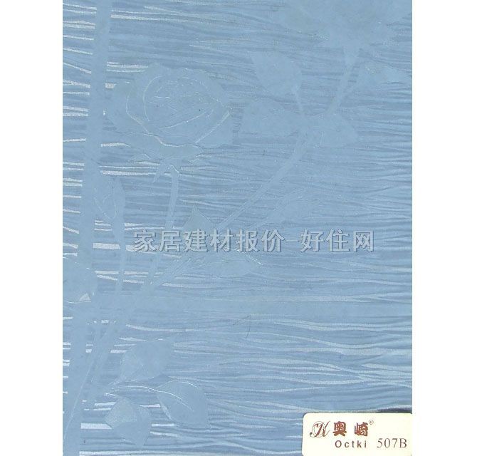 ������ 507B 0.6��10m �{ɫ