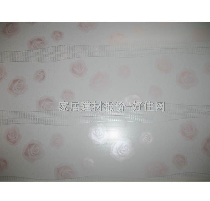 ��䓗l���컨 ���X-33 6000mm��200mm