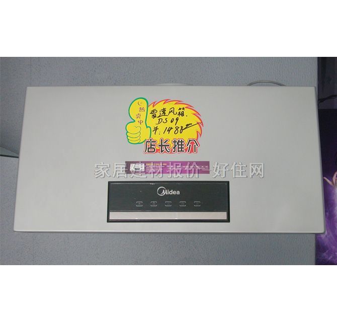 ���͟��C DS09 ����Ҏ��