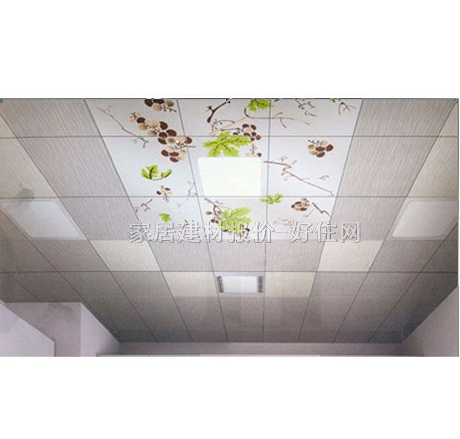 �͵�˹�X�ۗl���컨 9Ƭ+36W��ƴ���������� ӆ��