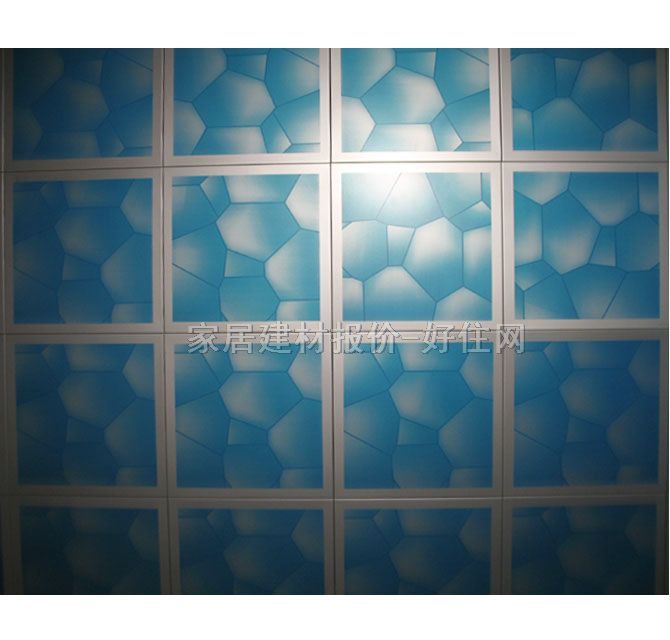 �X�۰��컨 ��Ĥ���� 300mm��450mm����0.6mm