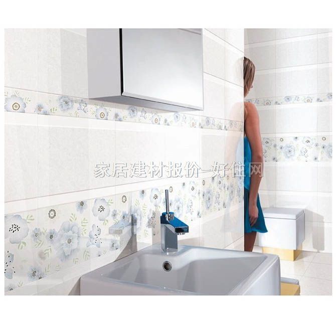 �㸣���u��Ƭ FMLA30080-E2B 300��600mm