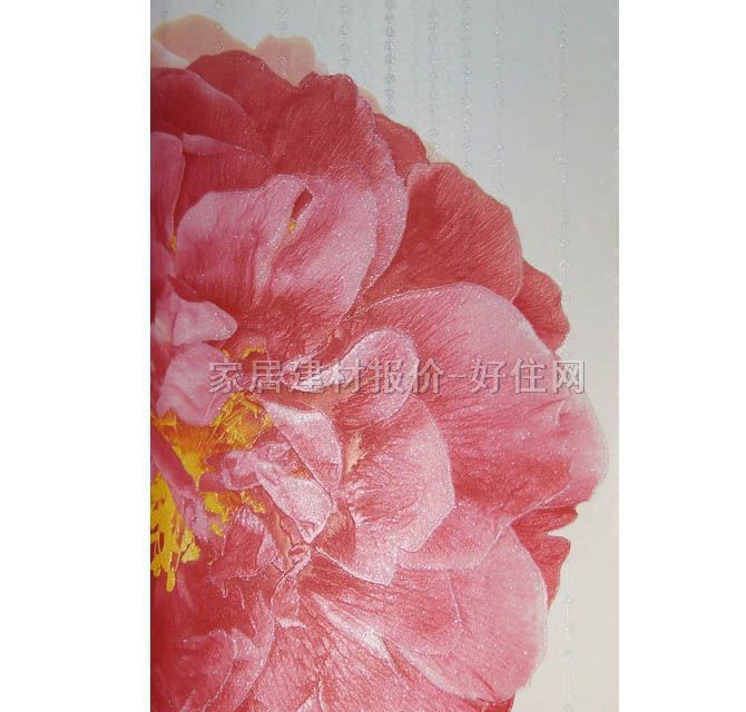 ���� p85 1.06m��15.6m �� �tɫ