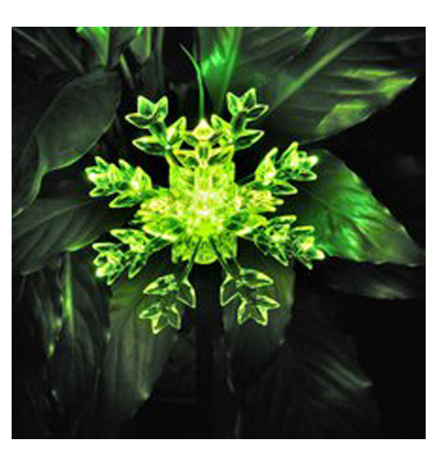 ȫ��LED���������ǟ�  LEDѩ������F5*�Ȱ� 100����7�� �L10�� �ɶ���