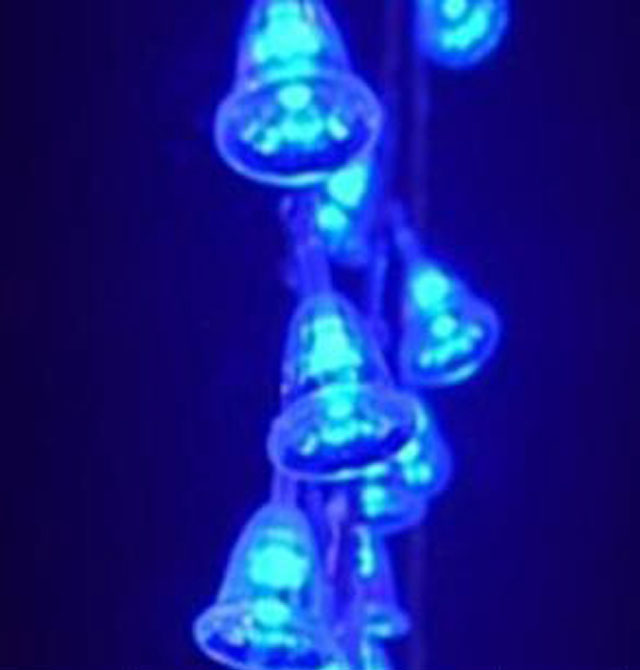 LED���������ǟ�  LED��K����F5*�Ȱ� 100����7�� �L10�� �ɶ���