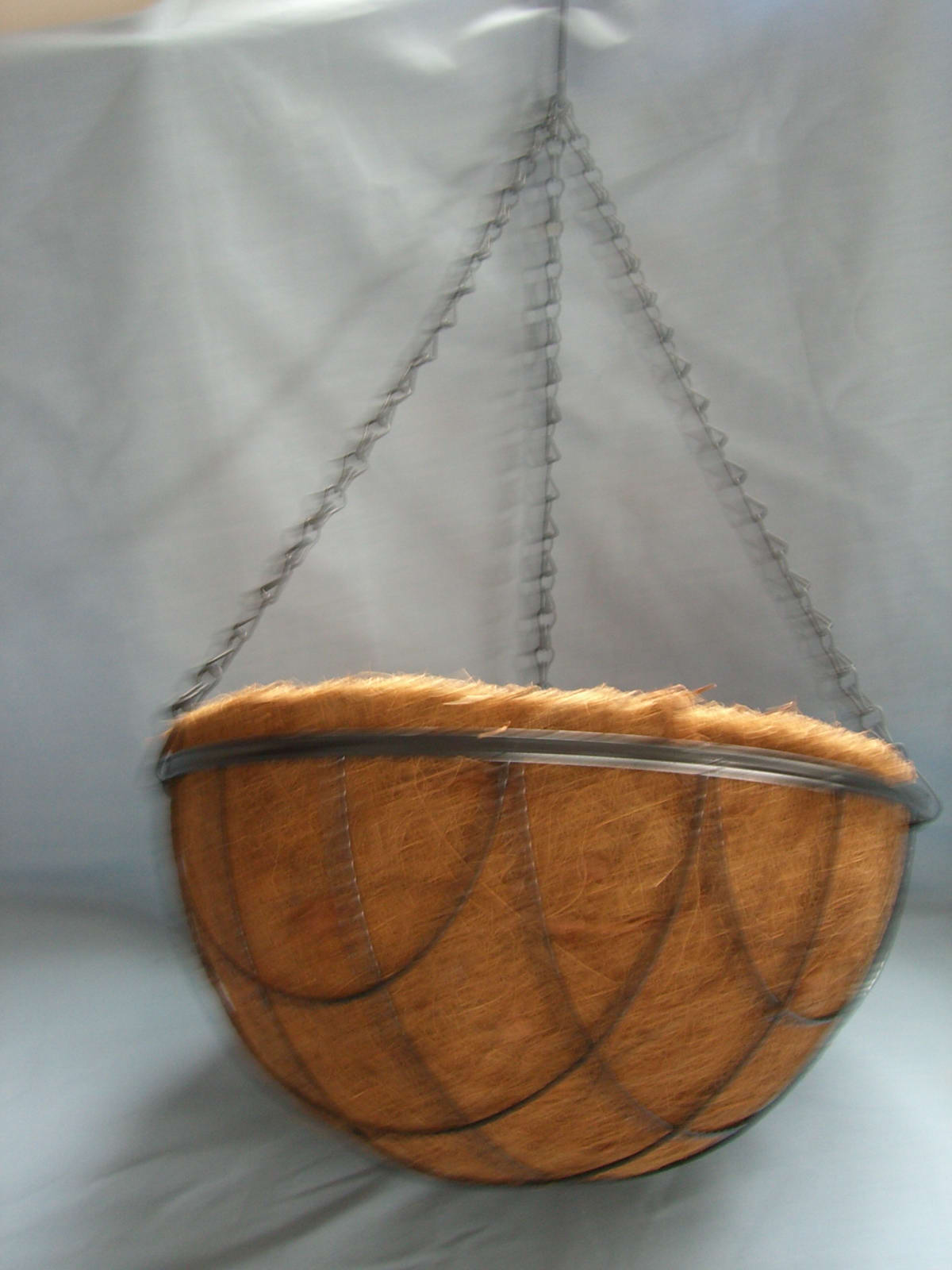 ���ܡ��������� 10"���@ 10"