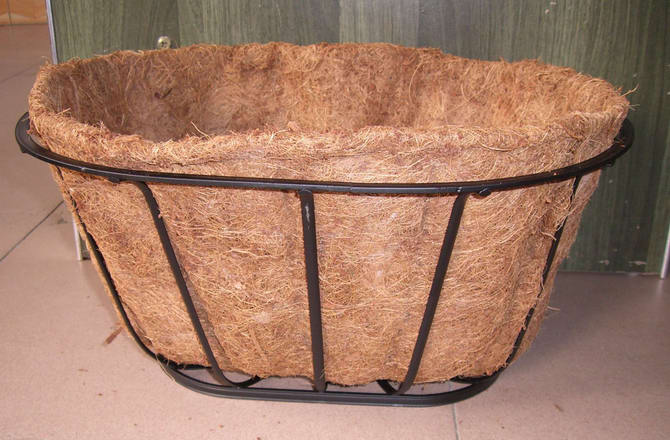 ���ܡ��������� ���@ 12"