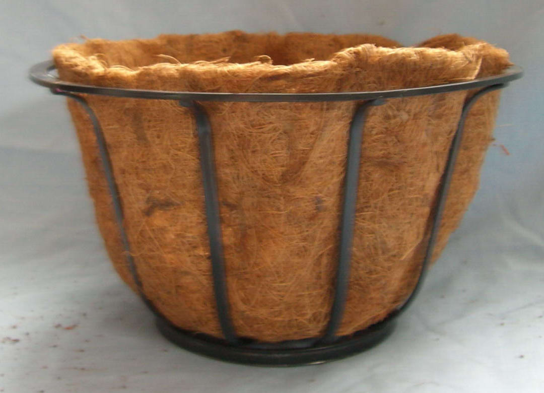 ���ܡ��������� 12"�A�@ 12"