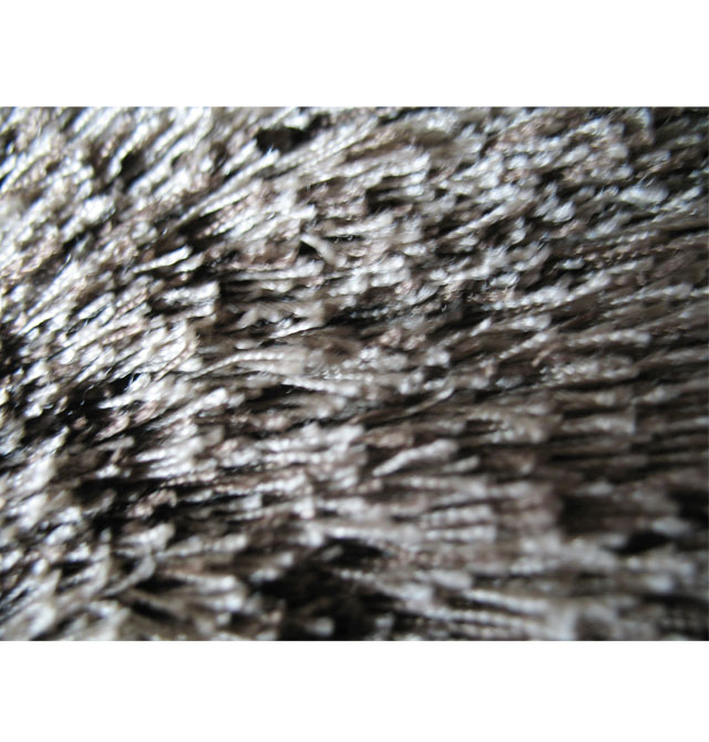 �τټ�ͥ�M䁵�̺ �τ��w�S��̺#16 ӆ��