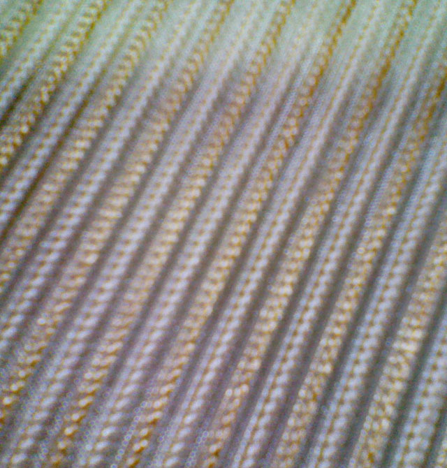 �{�D�����Q����غ� 20923-18 ����2.8M ���| ůɫ�{