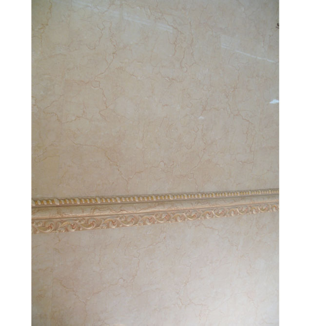 �����D����u ����uůɫ�y��D��2W4541 300mm�� 450mm