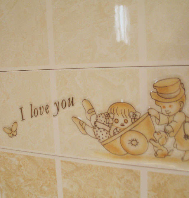 �����D��Ƭ �;�ˮ��1WYP45015A 300mm��73mm