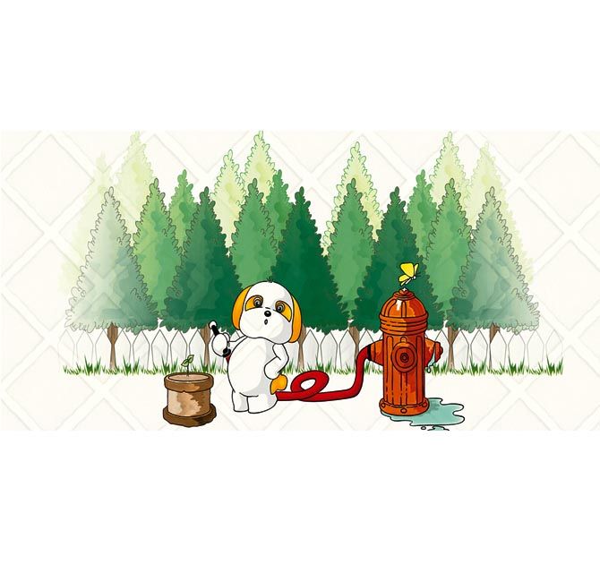 ���u��Ƭ 3-8E60113E1-WH1 300��600mm