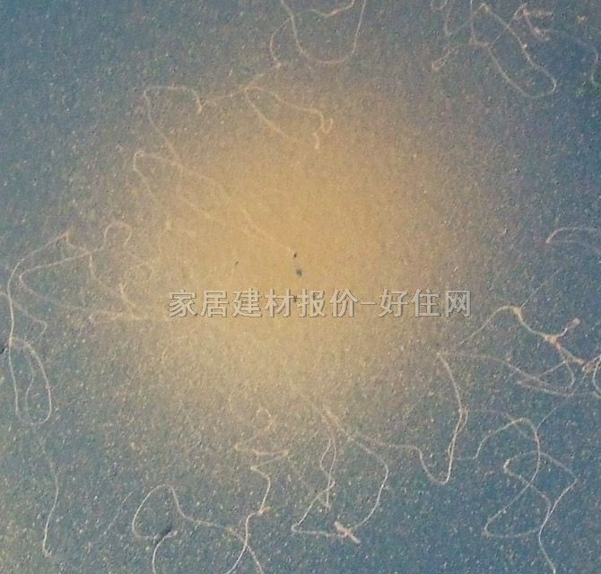 ����ˇ�gͿ�Ϲ�ˇ �ƽz��