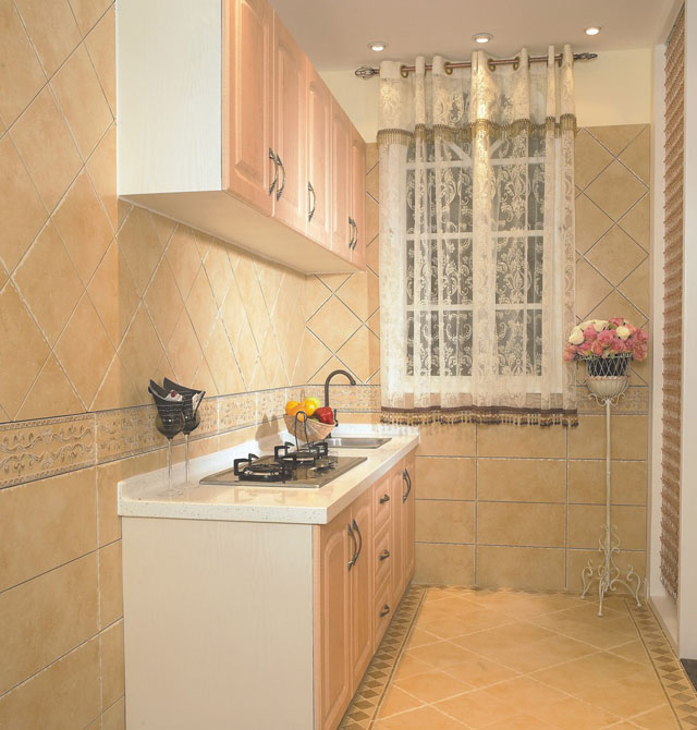 ��������Ƭ ����3-8R45172E1-H 450mm��70mm