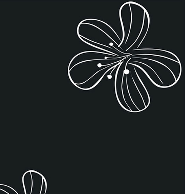 ����� ��ˇϵ�к�ɫ���Z 2440mm��1220mm����1mm