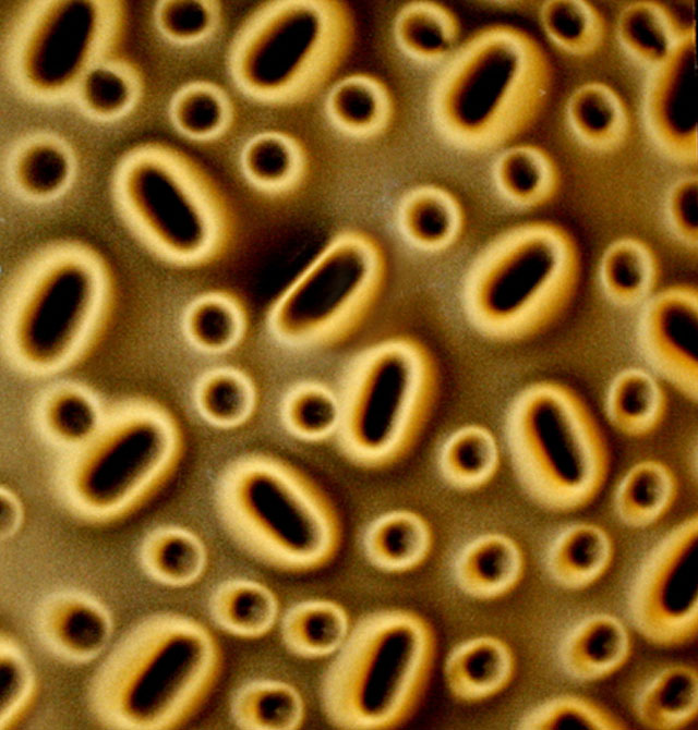 ����� ��Ӱϵ�кڽ�̫��ʯA650426 2440mm��1220mm����1mm