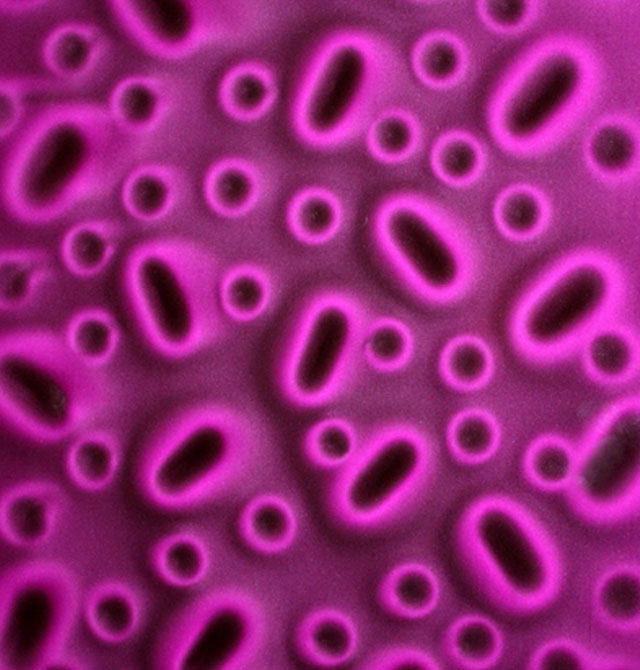 ����� ��Ӱϵ�кڷ�̫��ʯA650126 2440mm��1220mm����1mm