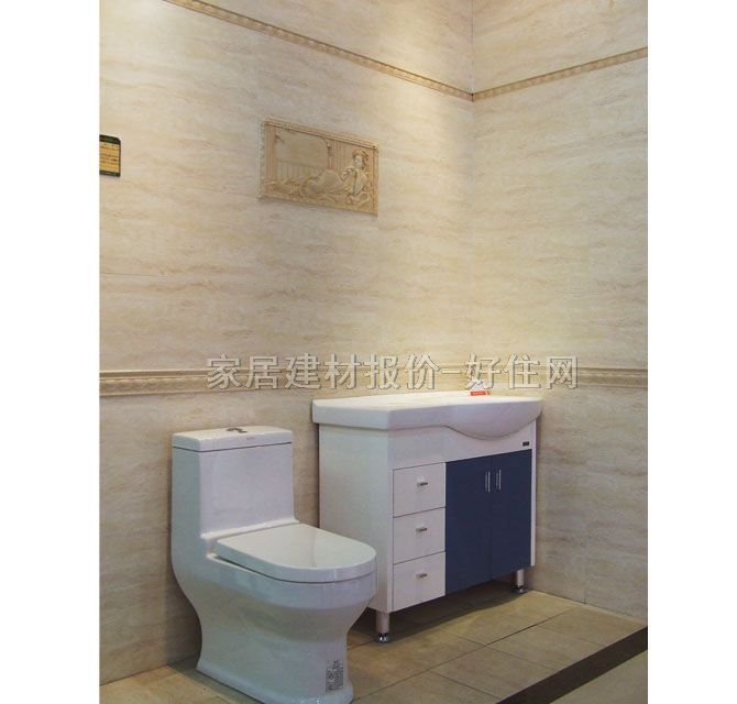 ��x��Ƭ �ŵ�y�����11917-001 300mm��80mm