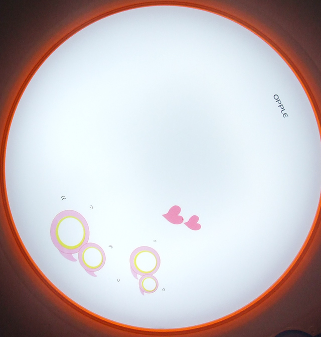 �W����픟� �P����픟�QQ ��Ҏ�t�� �F�������L�� �׵׎��D��������