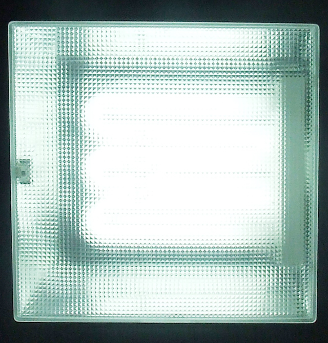 �W����픟� �N�l��_�� MQ125��Y21 ���� �F�������L�� ͸������