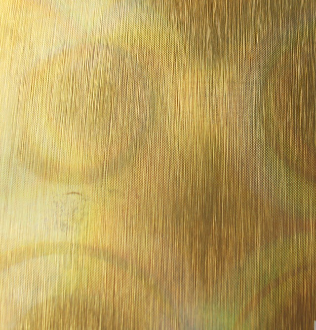 ����� �������z�D��ϵ�н�ɫѣ��LF28011 2440mm��1220mm����1mm