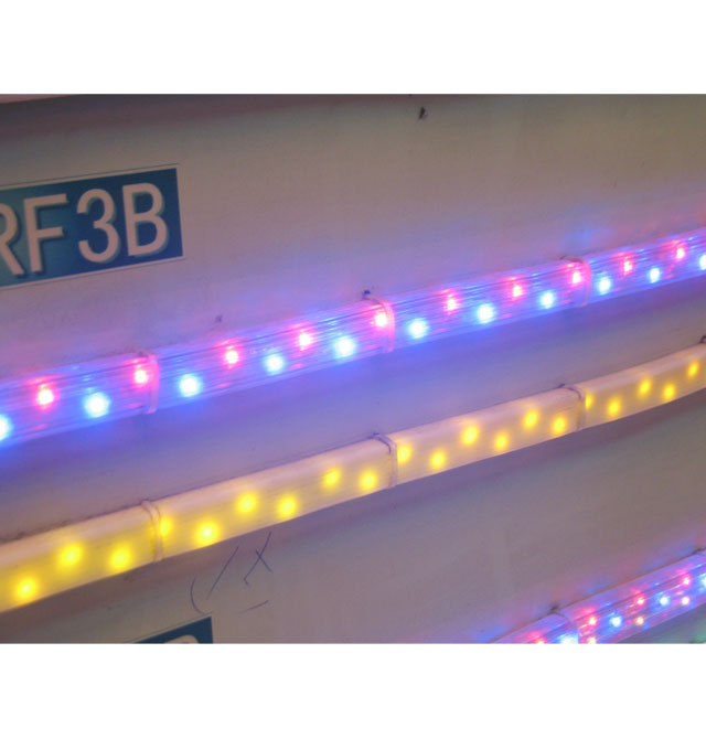 LED�􎧟��l ܛ�ܟ��l 50��/�� �pɫ ����ˮ