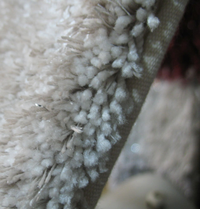 ������׵�̺ ����+�w�S TBLF3-07 ���Ƴߴ� ë��4cm �ֹ����� �װ� �\��