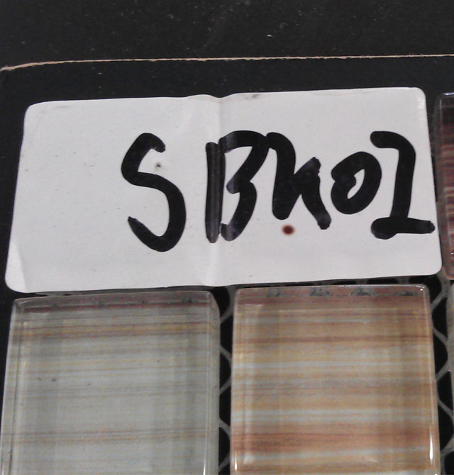 ɯ���Rِ�� �Rِ��SBK02ؐ�� �L25mm����25mm����8mm ؐ��+���� ���Y ��ɫ