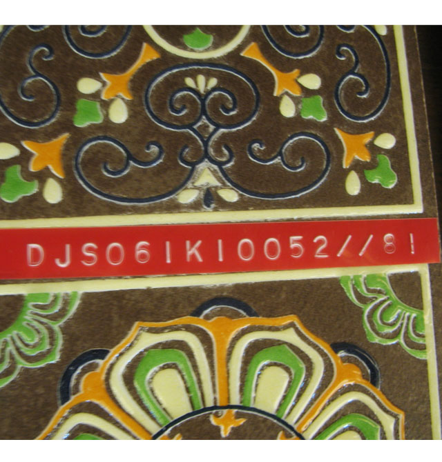 ���ƺ�ʢ��Ƭ DJS06IKI0052 �L600mm����100mm