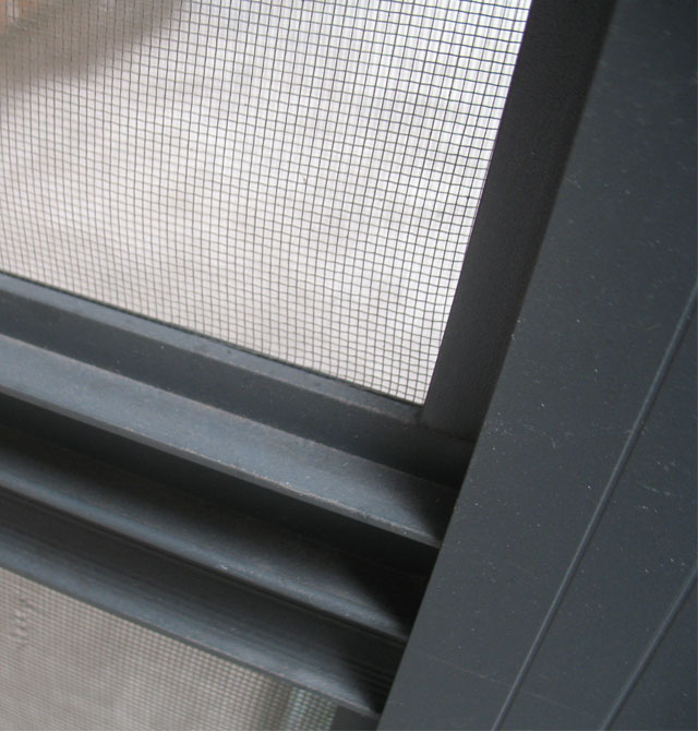 �v�_���� �������� ӆ��