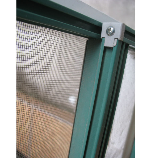 �v�_���� ���� ӆ��