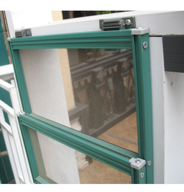 �v�_���� ���� ӆ��