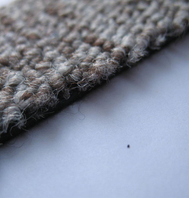 �����k���ÝM䁵�̺ 202X 500mm��500mm