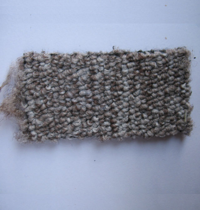 �����k���ÝM䁵�̺ 202X 500mm��500mm