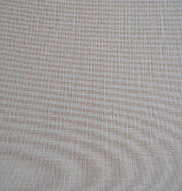 ��˹���¹������T ���y ��������