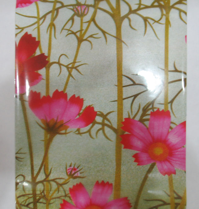 ������ E0036 ��60cm���L10�� ͸�� �ۼtɫ