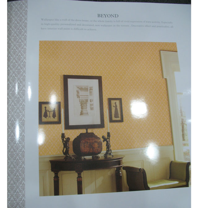 BEYOND���� 86033 ��53cm���L10�� PVC �W�� ���S