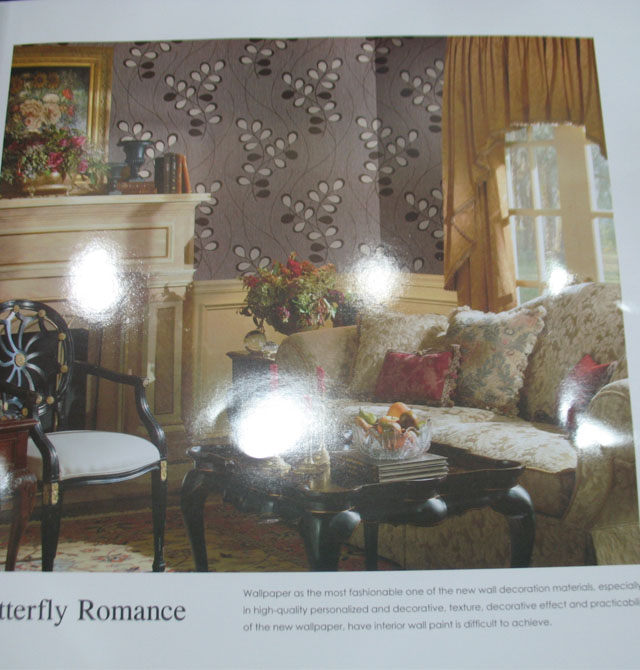 BUTTERFLYROMANCE���� DL-68632 ��53cm���L10�� �~�y �yɫ ��ɫ