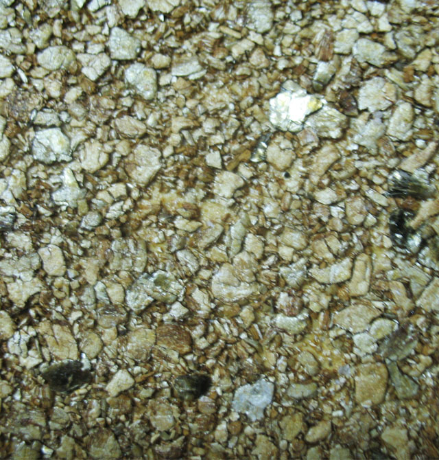 Hawaii�����ĉ��� K2047 ��91cm���L26�� �o���� �w�� ���Sɫ