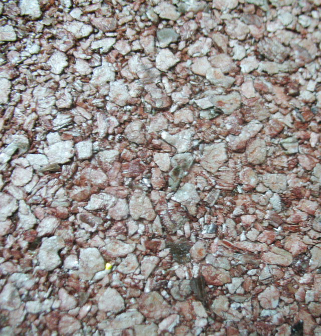 Hawaii�����ĉ��� K2046 ��91cm���L26�� �o���� �w�� �tɫ