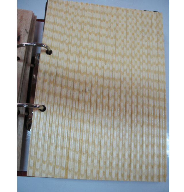 ɭ�Y���˰� С���y4#VDB-363�b� 2440mm��1220mm����5mm