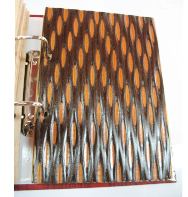 ɭ�Y���˰� С���y10#VDB-369�b� 2440mm��1220mm����5mm