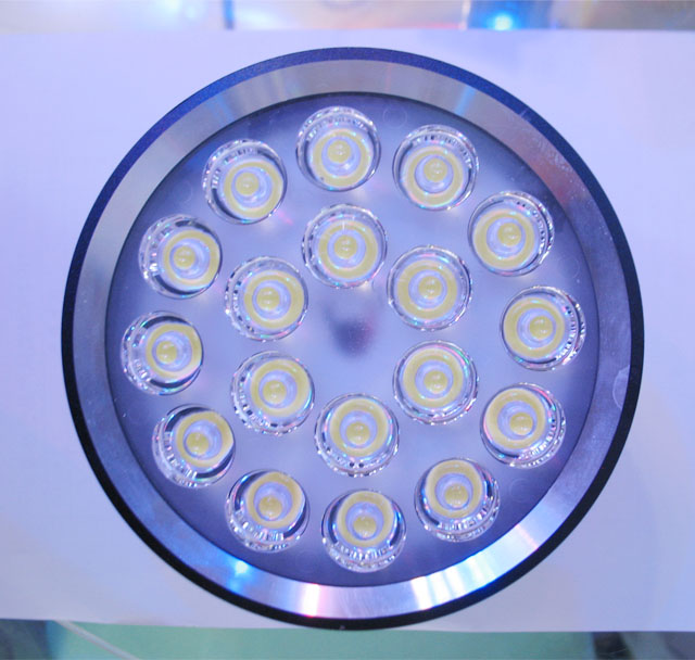 �Ă����bͲ�� �B�w͸�RMZTD9018 ��3�� ���|ɫ