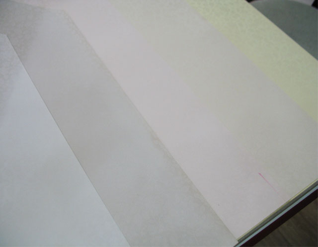 TEMPTATION���� 1903 ��530mm���L10.05�� ���� ��ɫ