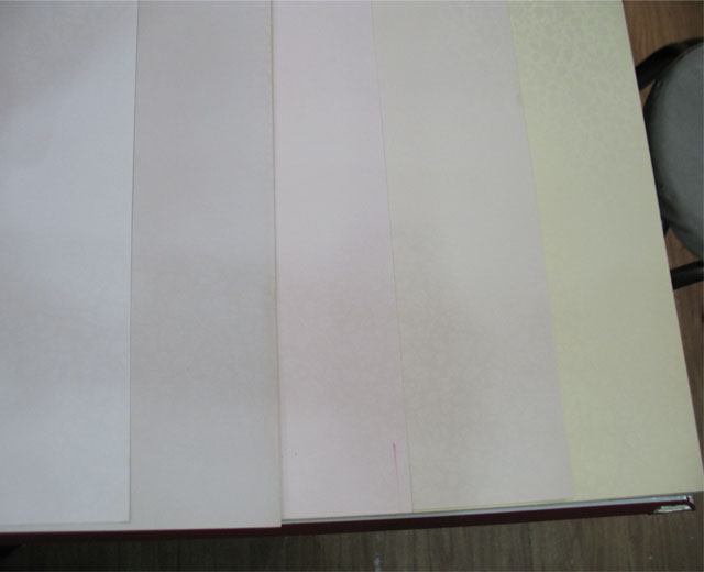 TEMPTATION���� 1903 ��530mm���L10.05�� ���� ��ɫ