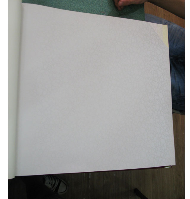 TEMPTATION���� 1903 ��530mm���L10.05�� ���� ��ɫ